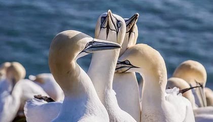 开云平台-西甲激烈争夺，专家解读战术变化，西甲loading