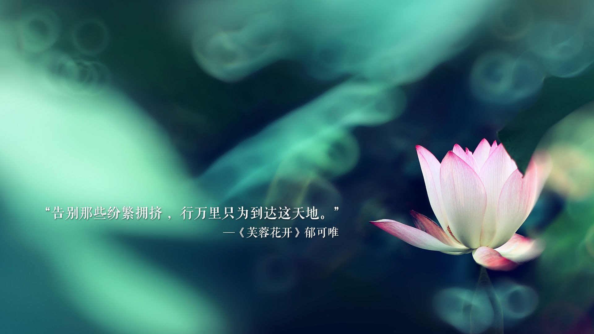 开云APP-【训练秘笈】奥沙利文：高效提升击球精准度的方法，奥沙利文教学握杆