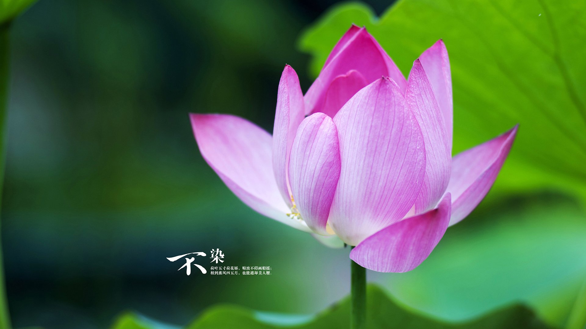 开云全站-探秘幕后：比赛策略和教练指挥的深度揭秘，比赛幕后工作者