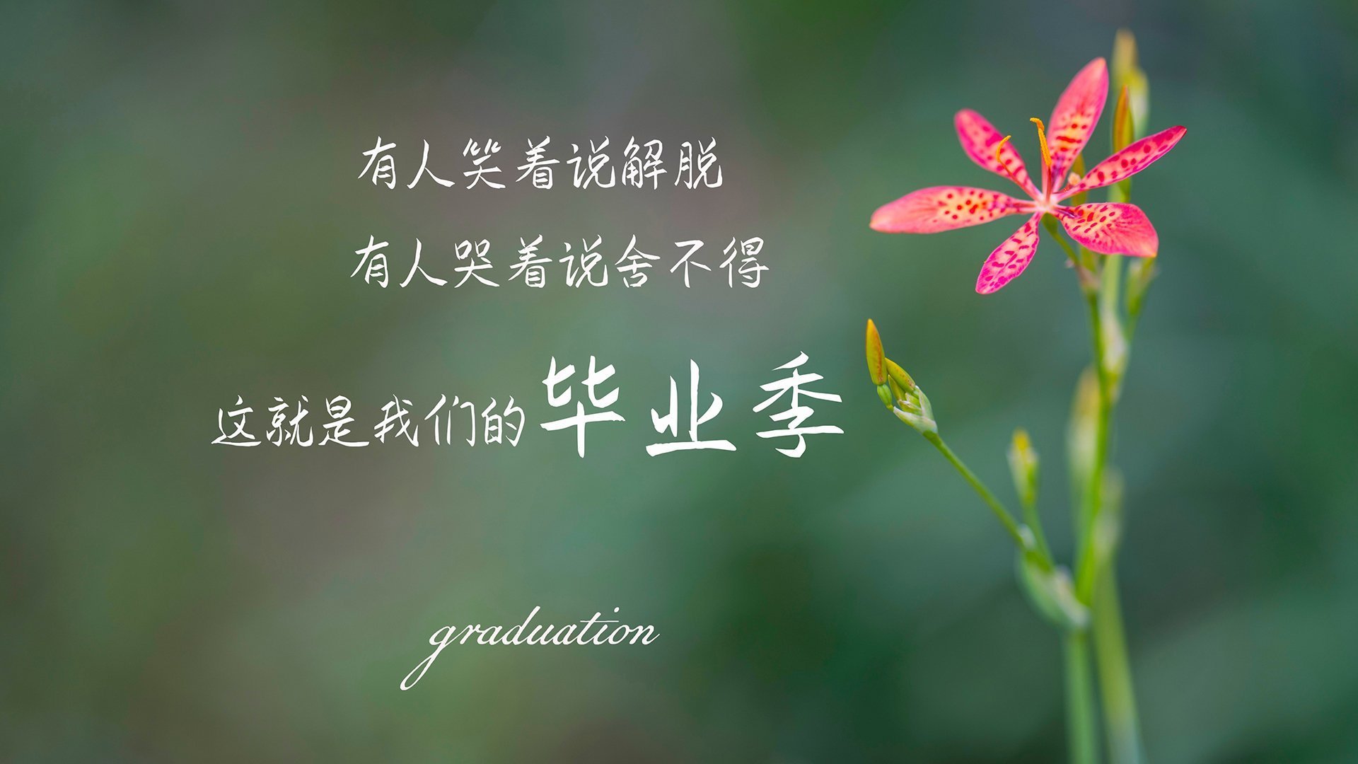 Kaiyun(中国)开云-詹姆斯连续多场拿下“30+”,全场霸主依旧!,詹姆斯总胜场