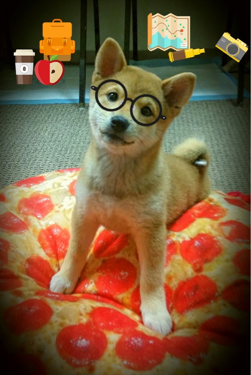 开云kaiyun-五大联赛是否更多使用反向站位吸引对手压迫