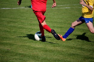 开云官网APP下载-拳击国家队备战亚运 实施精英训练计划，拳击亚军奖杯照片