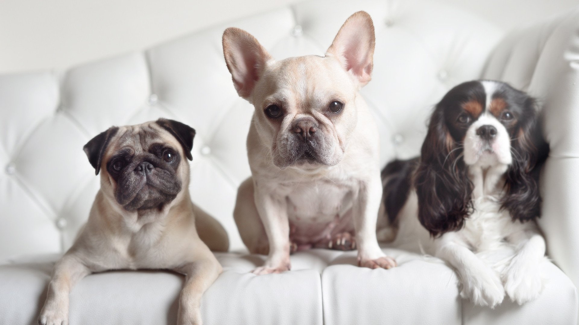 开云全站-舆论聚焦尤文是否在世俱杯真心争胜，尤文经典比赛