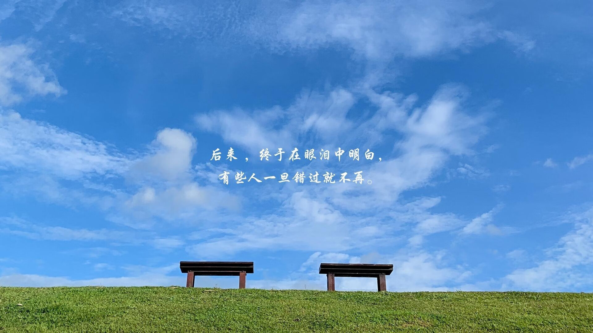 开云体育官方网入口-“霍斯特在南非羚羊队中的作用日益关键”