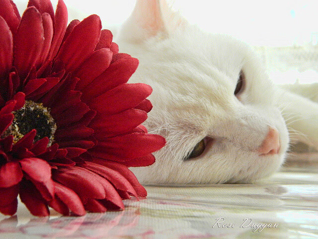 kaiyun.com-女子篮球青训注重防守战术提高整体防守水平,女子篮球队训练方法