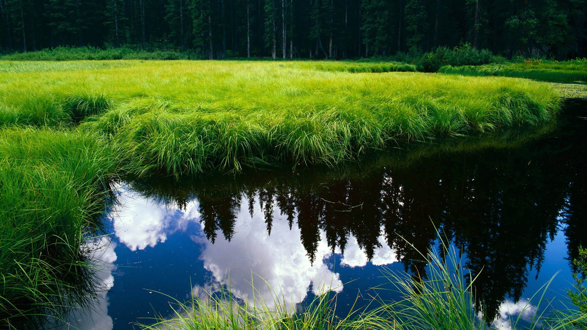 开云官方-德国男篮在欧洲锦标赛中击败强敌,重返巅峰