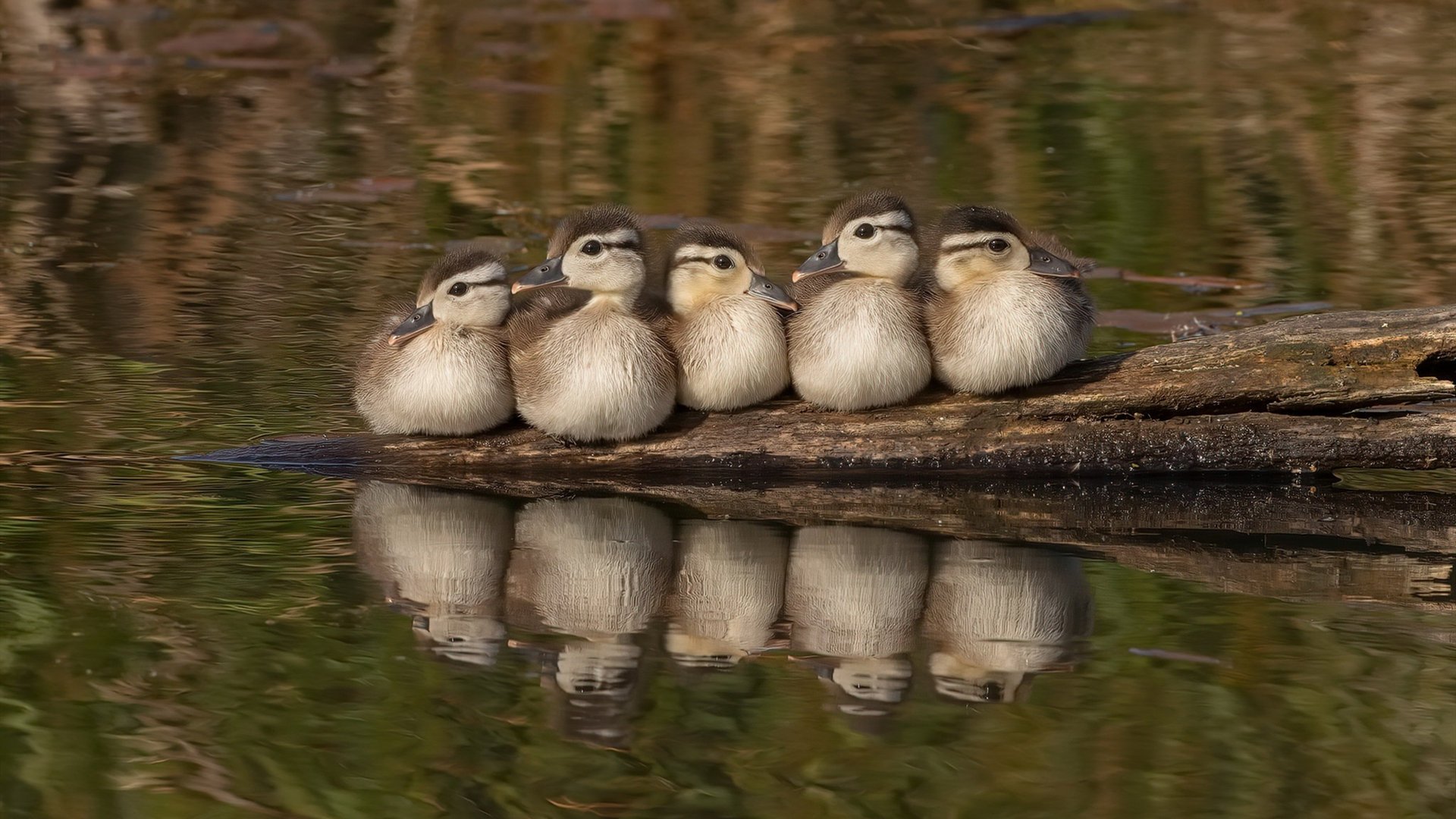 Kaiyun(中国)开云-拳击运动员备战策略，拳击运动员实战总结