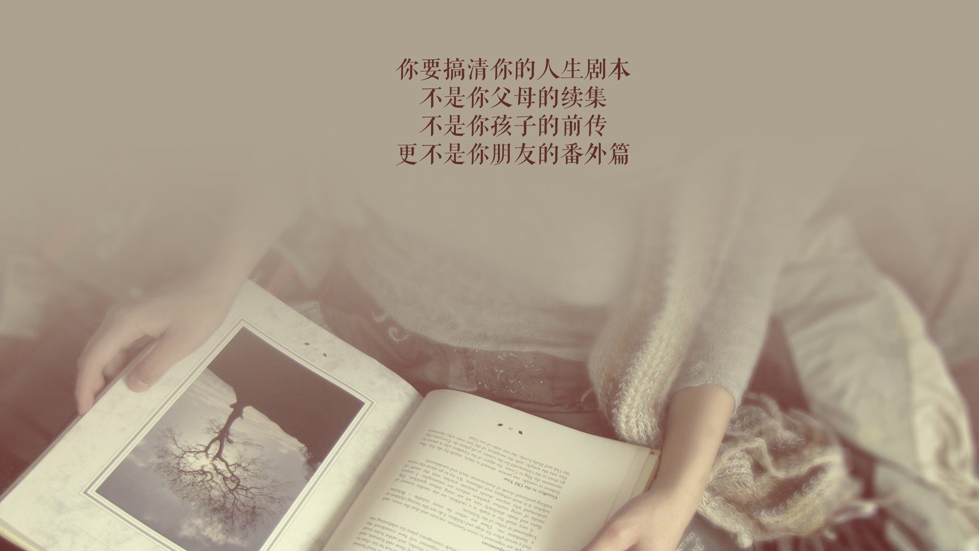 开云官方网页登录-西甲高手对决：突破、助攻、精彩无极限！，西甲如何决出冠军