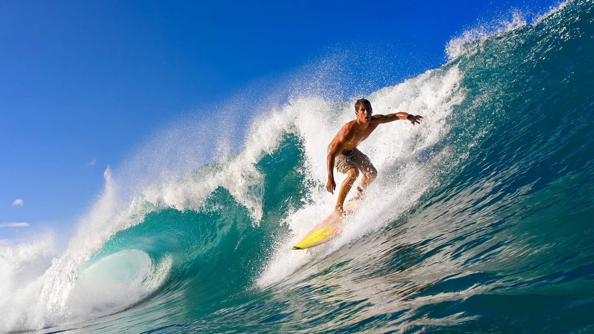 “德甲火力全开，场面震撼”，德甲 集锦